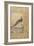 A Himalayan Cheer Pheasant, C.1620, Border C.1635-null-Framed Giclee Print