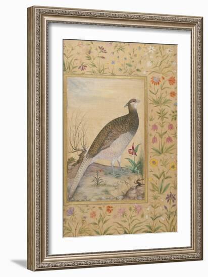 A Himalayan Cheer Pheasant, C.1620, Border C.1635-null-Framed Giclee Print