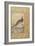 A Himalayan Cheer Pheasant, C.1620, Border C.1635-null-Framed Giclee Print