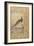 A Himalayan Cheer Pheasant, C.1620, Border C.1635-null-Framed Giclee Print