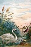 Mice Eat Wheat, a Pheasant Looks On-A. Hochstein-Art Print