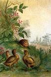 Three Chicks Ponder a Snail-A. Hochstein-Art Print