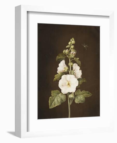 A Hollyhock-Barbara Regina Dietzsch-Framed Giclee Print