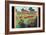 A Home Agricultural Show, 1927-Gregory Brown-Framed Giclee Print