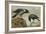 A Hooded Crow and a Carrion Crow, 1924-Archibald Thorburn-Framed Giclee Print