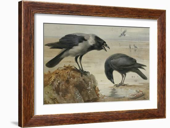 A Hooded Crow and a Carrion Crow, 1924-Archibald Thorburn-Framed Giclee Print