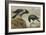 A Hooded Crow and a Carrion Crow, 1924-Archibald Thorburn-Framed Giclee Print