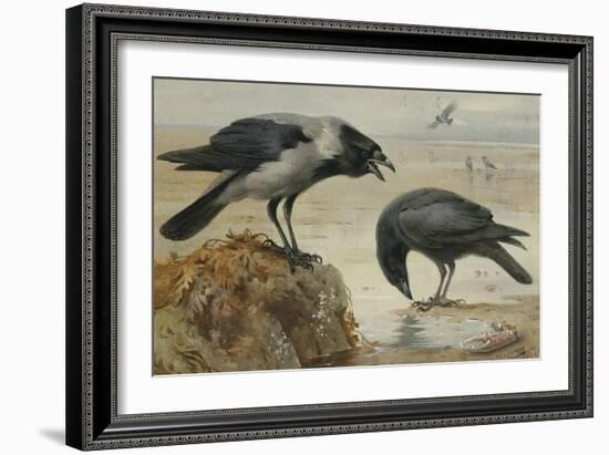 A Hooded Crow and a Carrion Crow, 1924-Archibald Thorburn-Framed Giclee Print