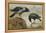 A Hooded Crow and a Carrion Crow, 1924-Archibald Thorburn-Framed Premier Image Canvas