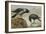 A Hooded Crow and a Carrion Crow-Archibald Thorburn-Framed Giclee Print