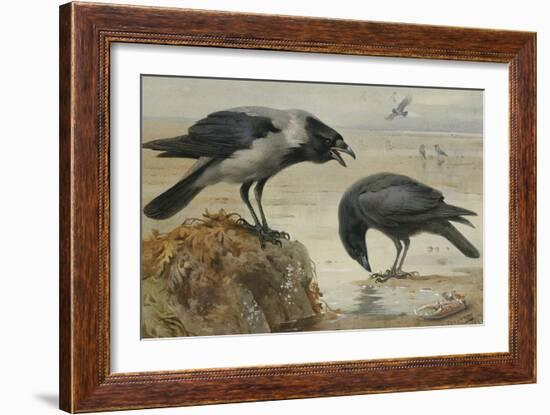 A Hooded Crow and a Carrion Crow-Archibald Thorburn-Framed Giclee Print