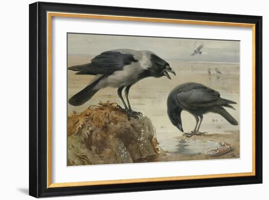 A Hooded Crow and a Carrion Crow-Archibald Thorburn-Framed Giclee Print