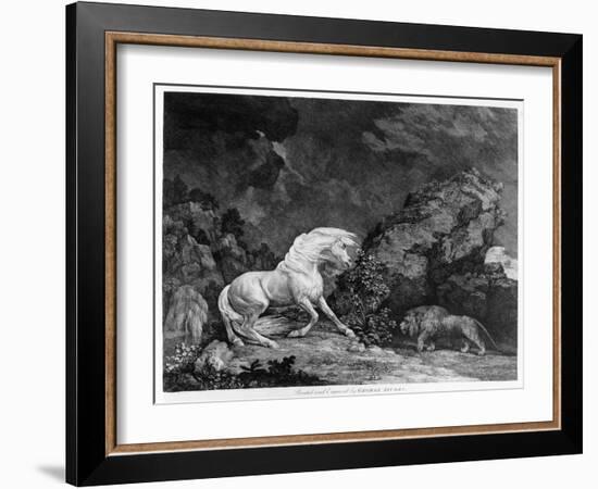 A Horse Affrighted by a Lion, Engraved by the Artist, 1777 (Etching)-George Stubbs-Framed Giclee Print