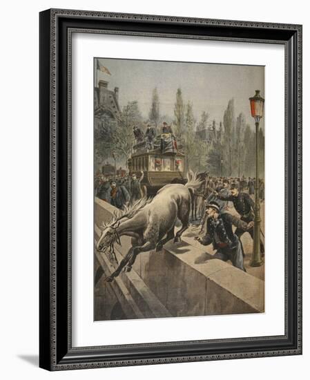 A Horse Committing Suicide, Illustration from 'Le Petit Journal: Supplement Illustre', 1898-French-Framed Giclee Print