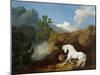 A Horse Frightened by a Lion, 1770-George Stubbs-Mounted Giclee Print