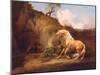 A Horse Frightened by a Lion, c.1790-5-George Stubbs-Mounted Giclee Print