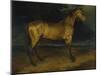 A Horse Frightened by Lightning, Ca 1814-Théodore Géricault-Mounted Giclee Print