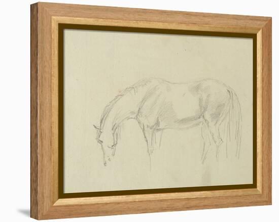 A Horse Grazing-Sawrey Gilpin-Framed Premier Image Canvas