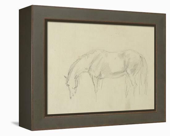 A Horse Grazing-Sawrey Gilpin-Framed Premier Image Canvas