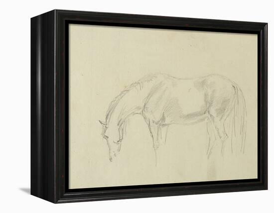 A Horse Grazing-Sawrey Gilpin-Framed Premier Image Canvas