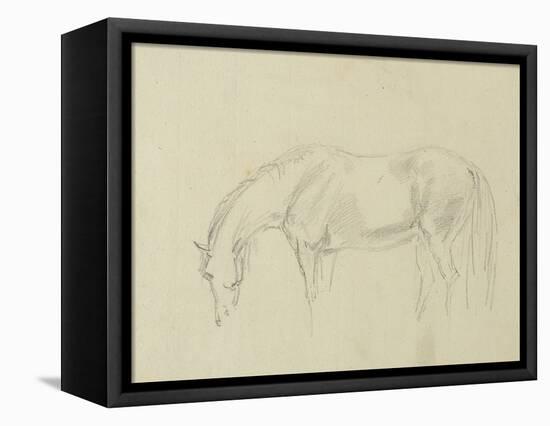 A Horse Grazing-Sawrey Gilpin-Framed Premier Image Canvas