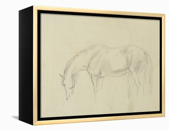 A Horse Grazing-Sawrey Gilpin-Framed Premier Image Canvas