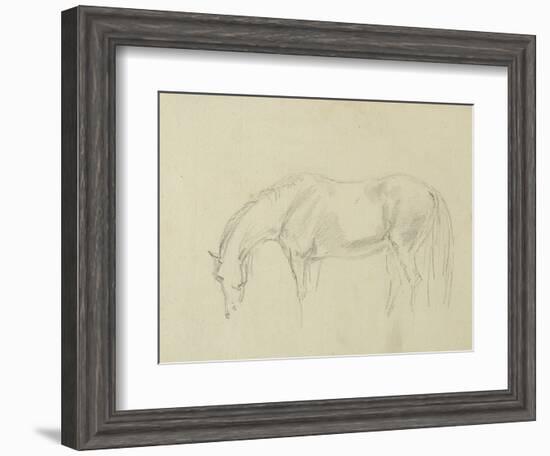 A Horse Grazing-Sawrey Gilpin-Framed Giclee Print