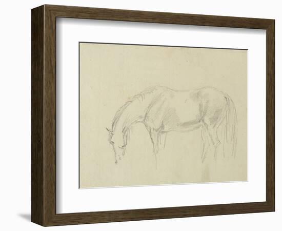 A Horse Grazing-Sawrey Gilpin-Framed Giclee Print