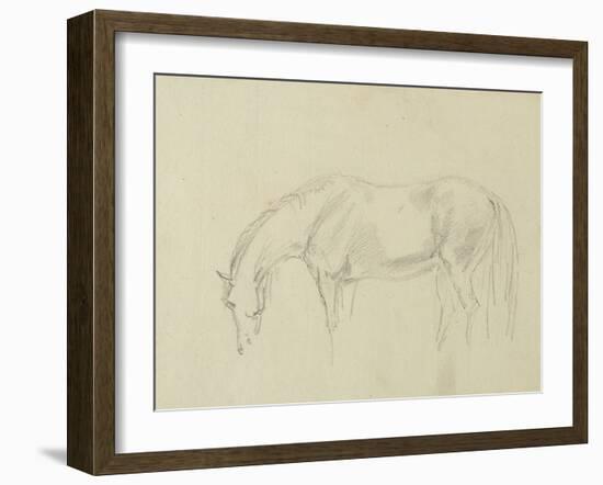 A Horse Grazing-Sawrey Gilpin-Framed Giclee Print