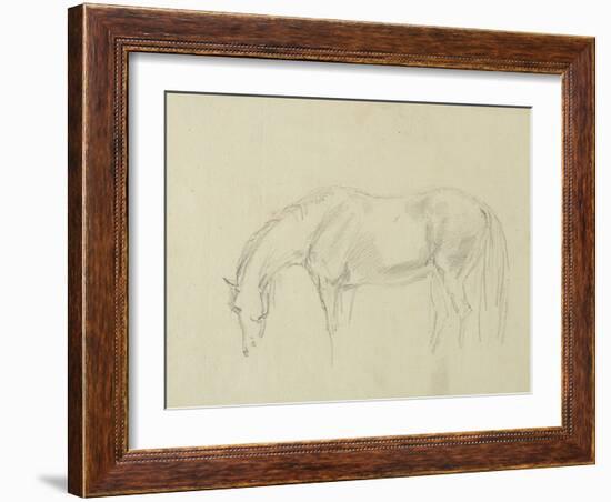 A Horse Grazing-Sawrey Gilpin-Framed Giclee Print