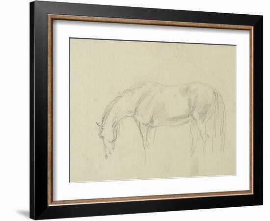 A Horse Grazing-Sawrey Gilpin-Framed Giclee Print