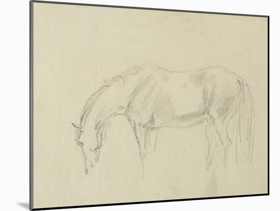 A Horse Grazing-Sawrey Gilpin-Mounted Giclee Print