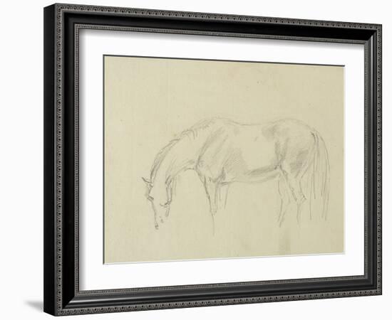 A Horse Grazing-Sawrey Gilpin-Framed Giclee Print