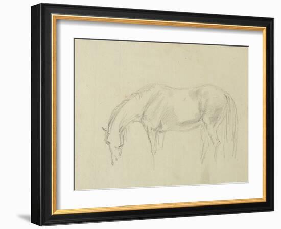 A Horse Grazing-Sawrey Gilpin-Framed Giclee Print