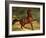 A Horse in a Landscape-Alfred Dedreux-Framed Giclee Print