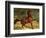 A Horse in a Landscape-Alfred Dedreux-Framed Giclee Print