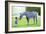 A Horse In Heaven-Nancy Tillman-Framed Art Print