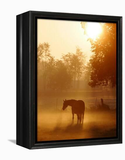 A Horse Stands in a Meadow in Early Morning Fog in Langenhagen Germany, Oct 17, 2006-Kai-uwe Knoth-Framed Premier Image Canvas