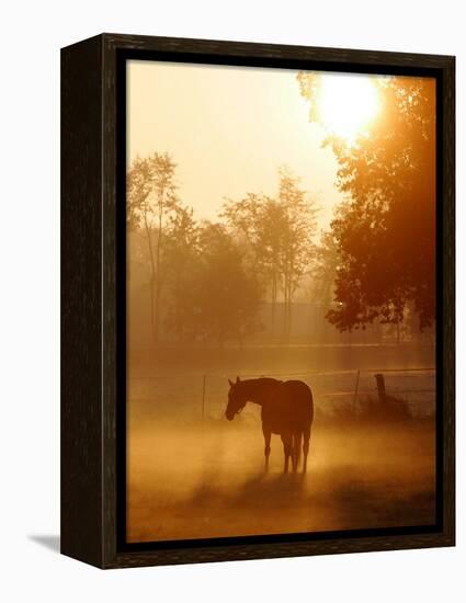 A Horse Stands in a Meadow in Early Morning Fog in Langenhagen Germany, Oct 17, 2006-Kai-uwe Knoth-Framed Premier Image Canvas