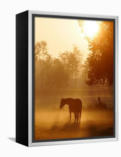 A Horse Stands in a Meadow in Early Morning Fog in Langenhagen Germany, Oct 17, 2006-Kai-uwe Knoth-Framed Premier Image Canvas