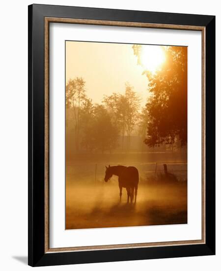 A Horse Stands in a Meadow in Early Morning Fog in Langenhagen Germany, Oct 17, 2006-Kai-uwe Knoth-Framed Photographic Print