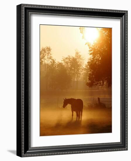 A Horse Stands in a Meadow in Early Morning Fog in Langenhagen Germany, Oct 17, 2006-Kai-uwe Knoth-Framed Photographic Print