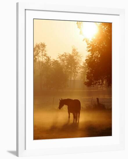 A Horse Stands in a Meadow in Early Morning Fog in Langenhagen Germany, Oct 17, 2006-Kai-uwe Knoth-Framed Photographic Print