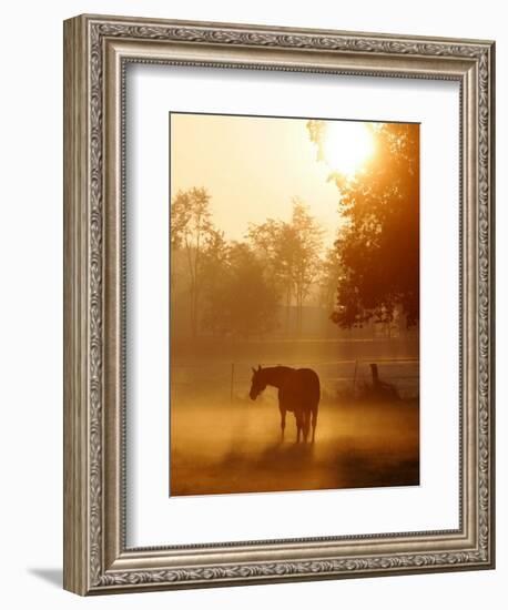 A Horse Stands in a Meadow in Early Morning Fog in Langenhagen Germany, Oct 17, 2006-Kai-uwe Knoth-Framed Photographic Print