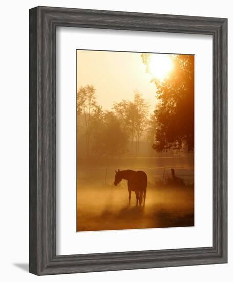 A Horse Stands in a Meadow in Early Morning Fog in Langenhagen Germany, Oct 17, 2006-Kai-uwe Knoth-Framed Photographic Print