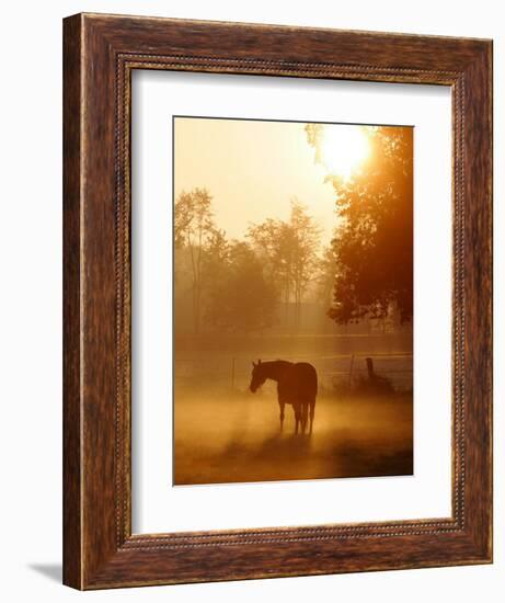 A Horse Stands in a Meadow in Early Morning Fog in Langenhagen Germany, Oct 17, 2006-Kai-uwe Knoth-Framed Photographic Print