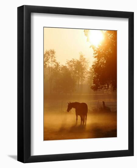 A Horse Stands in a Meadow in Early Morning Fog in Langenhagen Germany, Oct 17, 2006-Kai-uwe Knoth-Framed Photographic Print