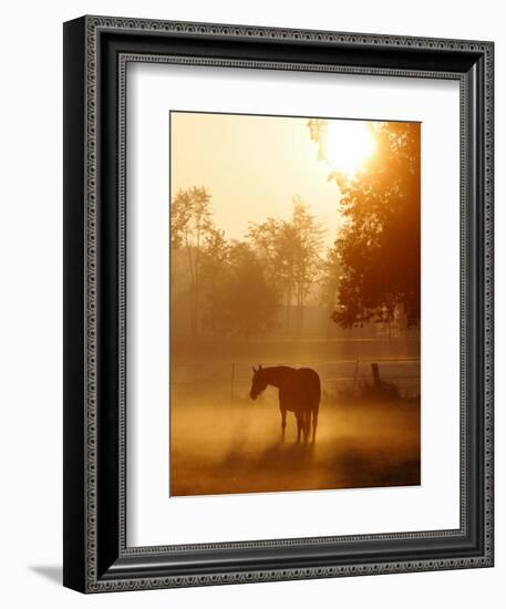 A Horse Stands in a Meadow in Early Morning Fog in Langenhagen Germany, Oct 17, 2006-Kai-uwe Knoth-Framed Photographic Print