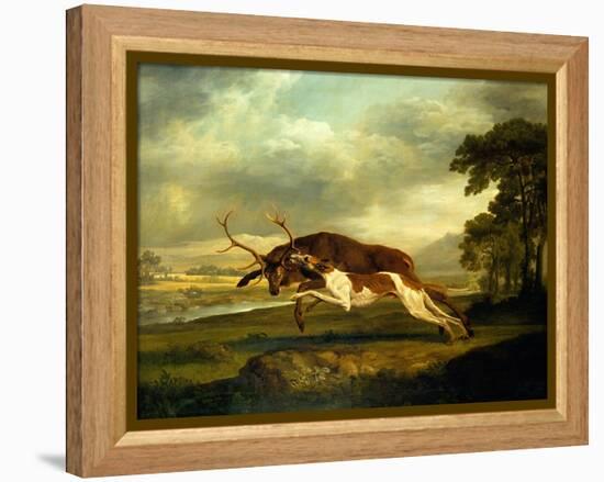 A Hound Attacking a Stag-George Stubbs-Framed Premier Image Canvas