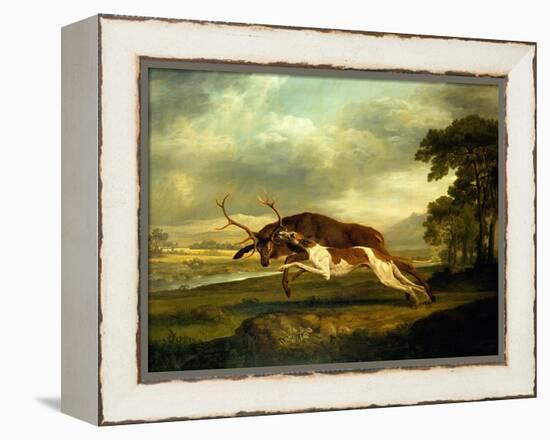 A Hound Attacking a Stag-George Stubbs-Framed Premier Image Canvas